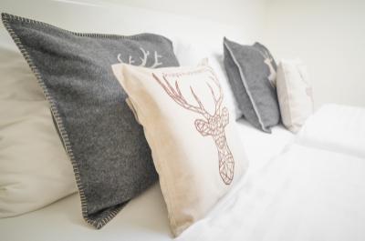 ap-41-pension-praga-room-pillow_resize.jpg